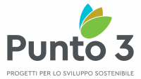 punto3